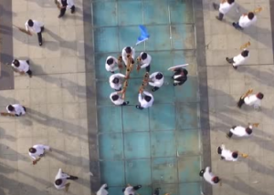 ʻعˢܡ2017صڶ«Ͻ֮«϶Կ
