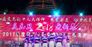 2017ѵ㱨ݳ