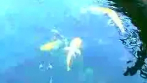 й־-