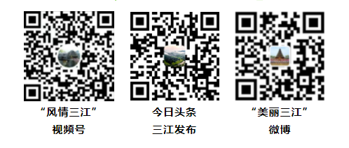三江侗族自治县2024年清明节文明祭扫倡议书